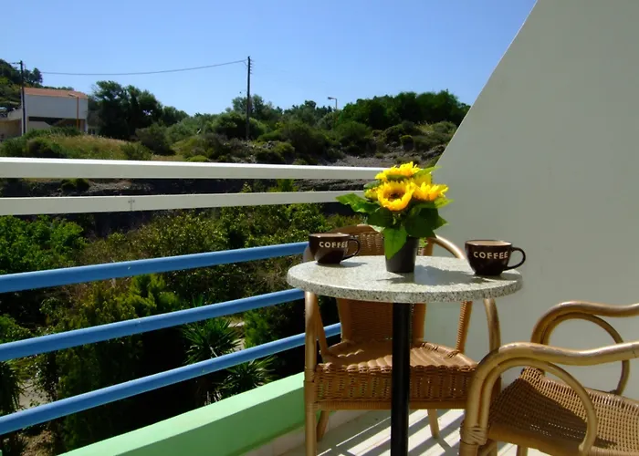 Millenium 2* 팔리라키