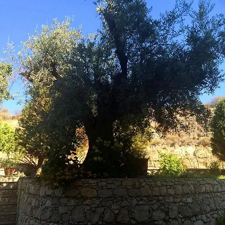 Ξενοδοχείο με διαμερίσματα Millenium Φαληράκι