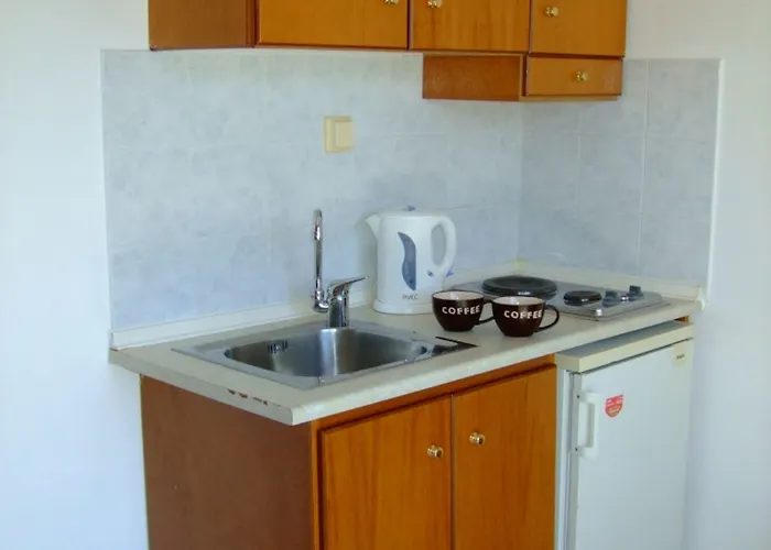 公寓式酒店 Millenium