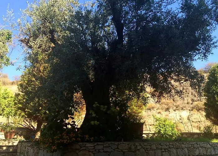 公寓式酒店 Millenium 法里拉基