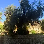 Apart-hotel Millenium Faliraki