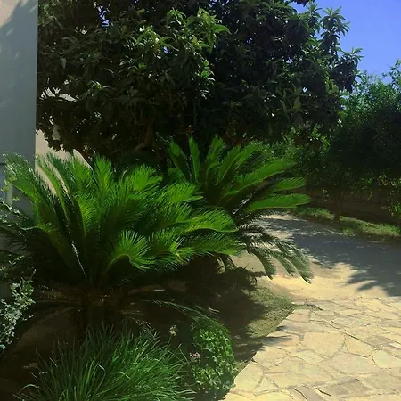 Millenium Studios 2* Faliraki